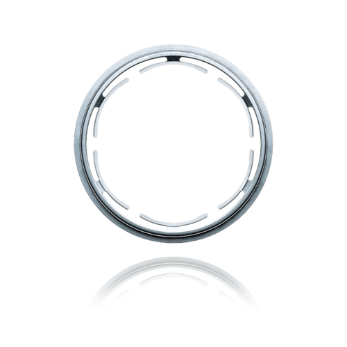 Disk Spring